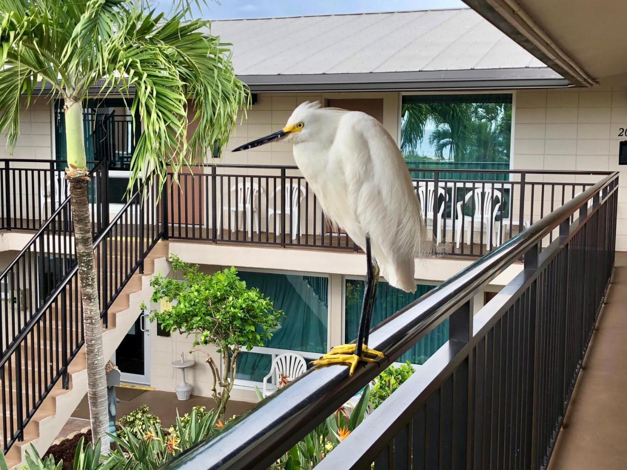 Caribbean Beach Club Fort Myers Beach Exterior foto